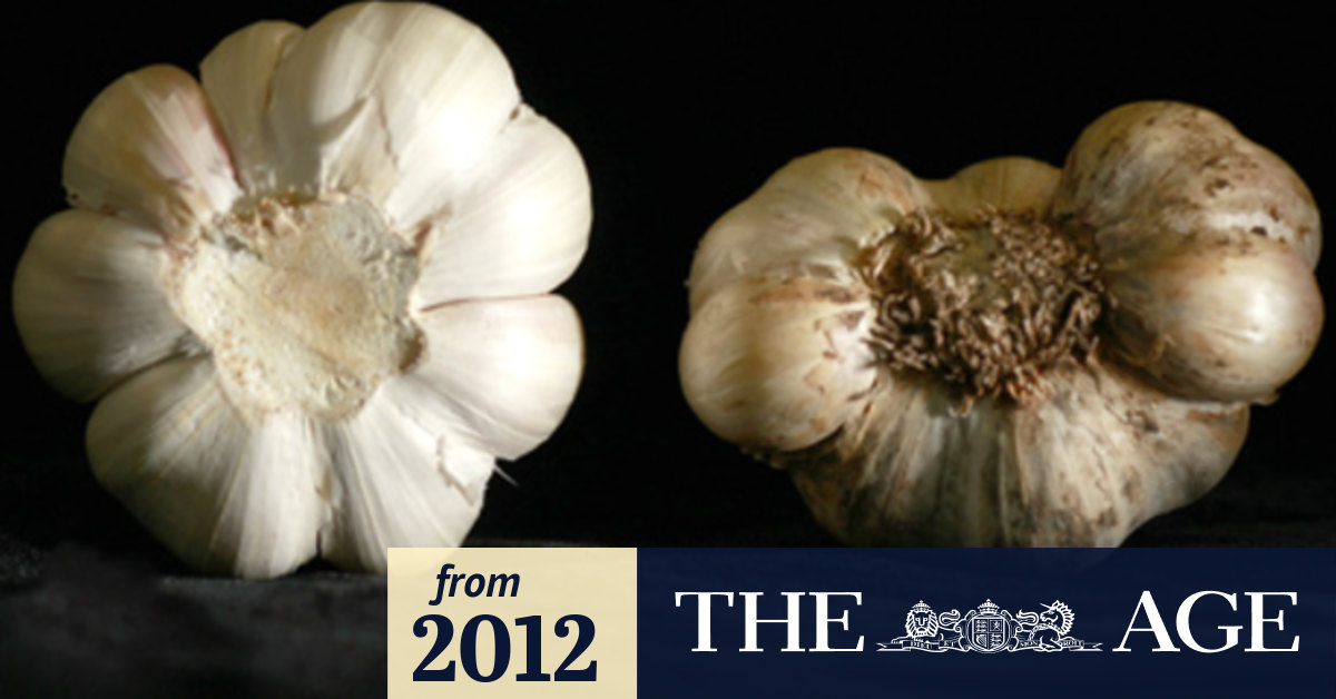 Garlic ingredient fights food poisoning